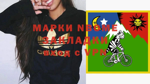 шишки Киреевск