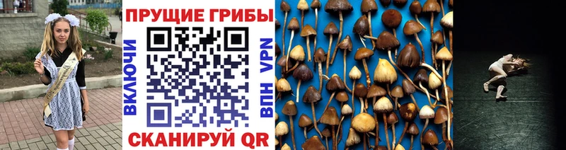 наркота гидра сайт Псилоцибиновые грибы прущие грибы Зима